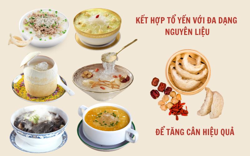 Kết hợp tổ yến cùng đa dạng nguyên liệu để tối ưu dưỡng chất