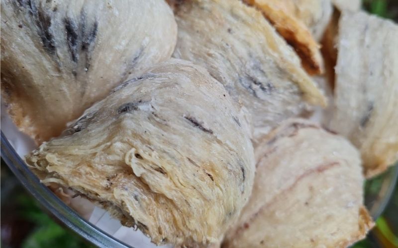 Tổ yến già to dày, lẫn nhiều lông và tạp chất