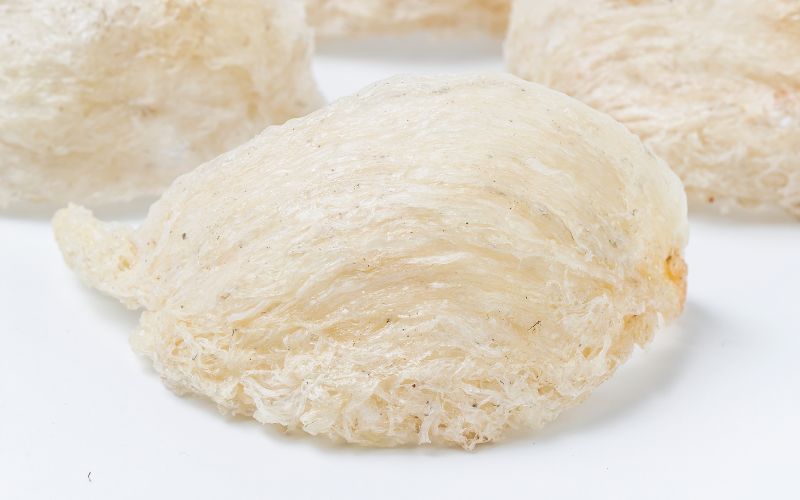 Tổ yến - thực phẩm hỗ trợ đắc lực cho quá trình tăng cân lành mạnh